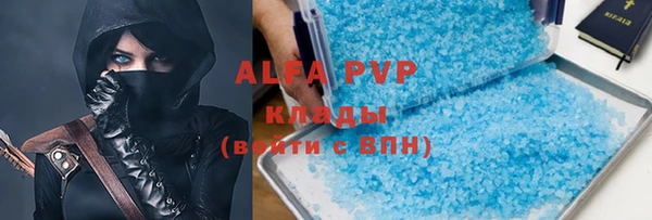 мдпв Бородино