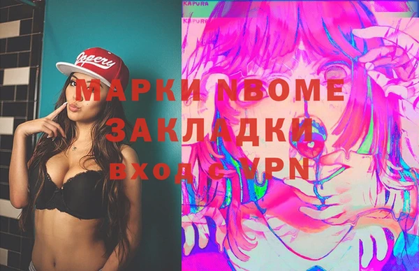 мдпв Бородино