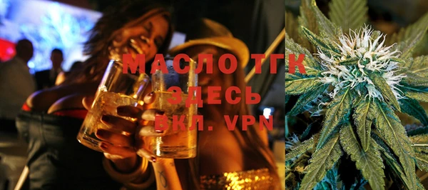 мдпв Бородино