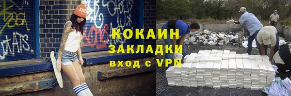 мдпв Бородино