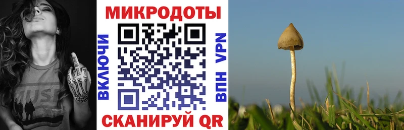 Галлюциногенные грибы GOLDEN TEACHER  Купить закладки  Кувшиново 